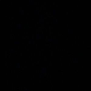 Meet your Posher, Violence